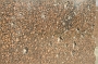 535 Siegessaule